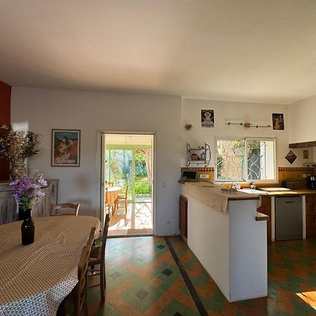 La Boissetane, Maison Provencale Avec Piscine Et Jardin, Au Pied Du Luberon Villa Saint-Martin-de-Castillon Екстериор снимка